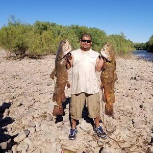 Meet your Posher, Ernesto